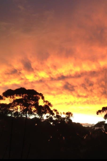 Avoca Beach And Bush Екстер'єр фото